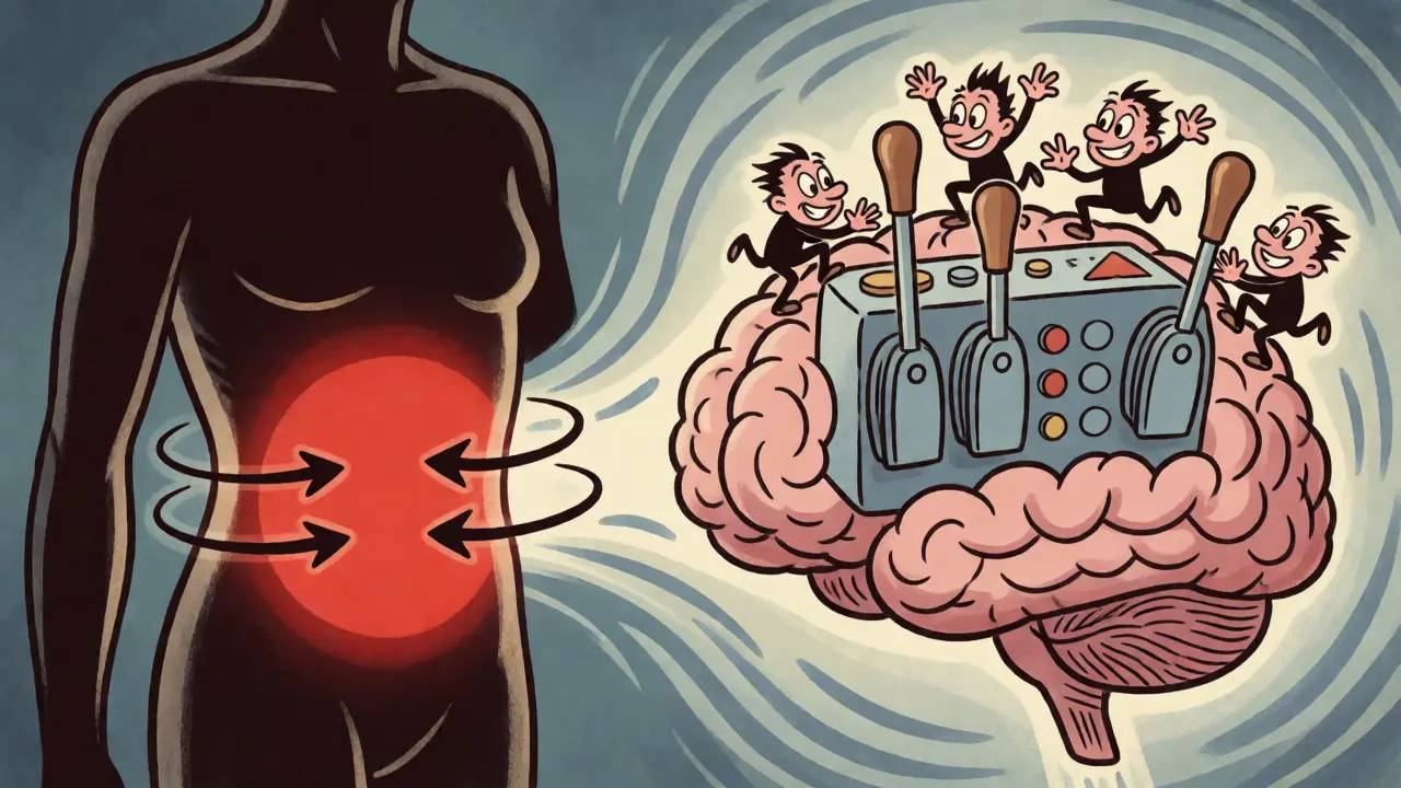 Diagramma stilizzato dell'impatto dello stress e del cortisolo sull'addome e sul cervello
